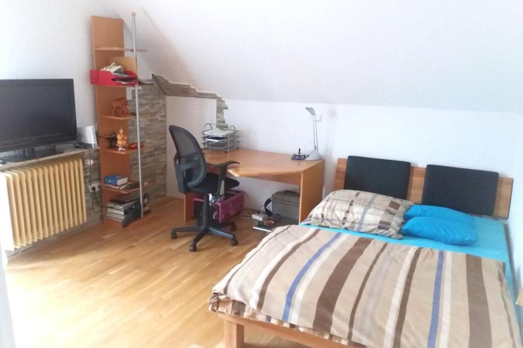 Neue, Helle Wohnung In Ludwigsburg, Nah Am Schloss Экстерьер фото